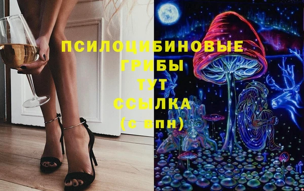 твердый Алексин