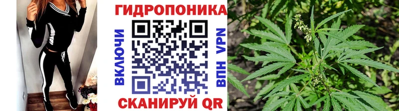Канабис ГИДРОПОН  купить наркотики сайты  mega tor  Юрьев-Польский 